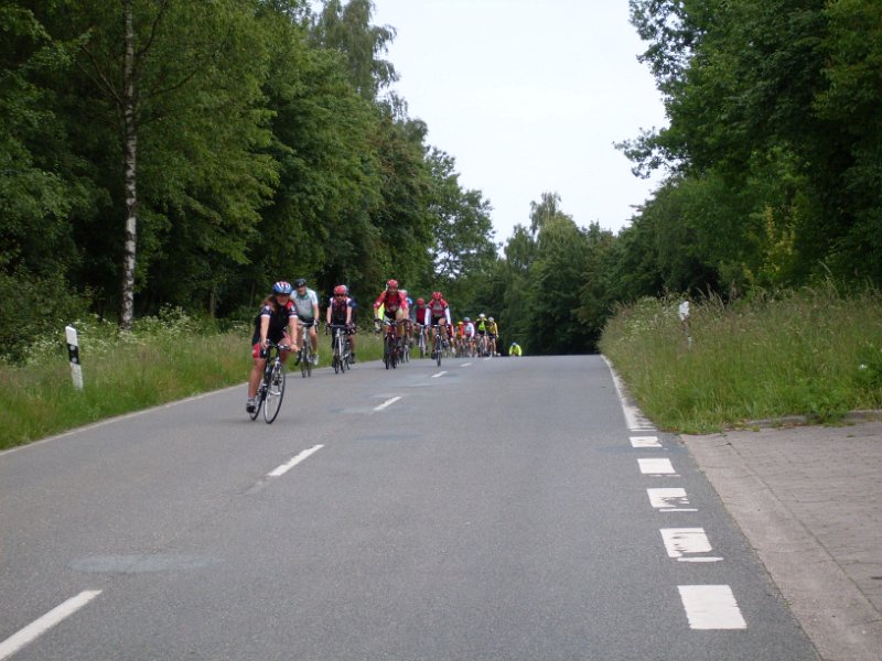 RTF Bad Oldesloe Peter 363